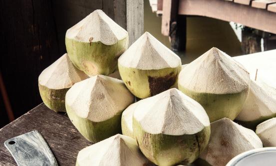 中国椰子行业市场形势及行业现状分析2024