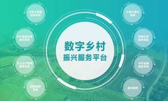 2024年中国数字乡村行业的市场发展现状及发展趋势分析
