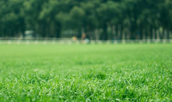 中国草坪保护行业市场调研与发展趋势