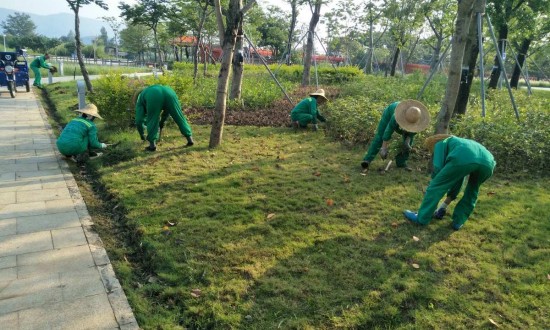 2024年中国草坪保护行业的产业链上下游结构及发展趋势分析