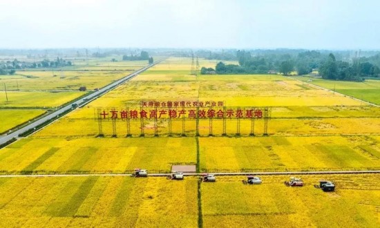 2024年中国高标准农田行业的市场发展现状及发展前景分析