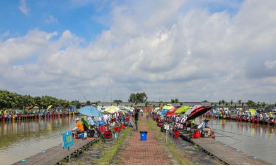 2024年中国休闲渔业行业的产业链上下游结构及发展前景分析