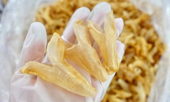 2024年花胶行业的产业链上下游结构及市场发展现状