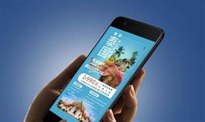 2024年在线旅游行业市场分析及发展前景预测报告 飞猪：618开售24小时成交额破千万