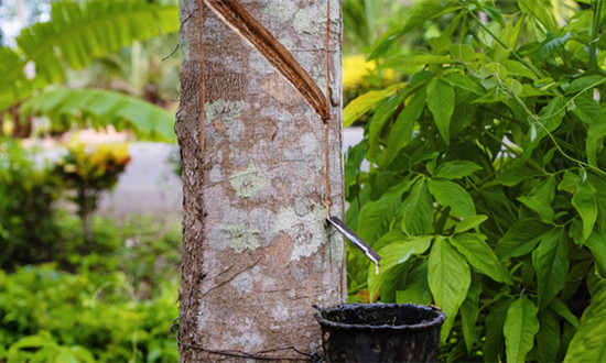 丁基胶行业市场现状及未来发展规模预测