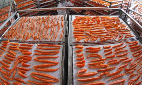 红薯深加工产业发展环境分析与前景研究2024