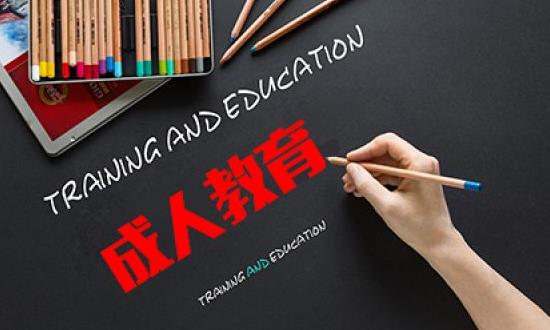 2024成人教育行业市场现状与前景研究