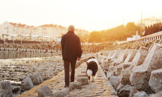 中国宠物殡葬服务行业发展前景及投资预测