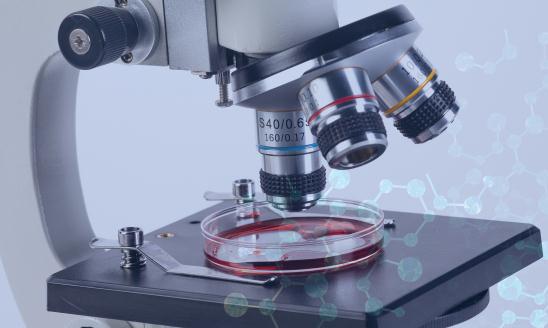 中国微生物技术市场调查分析与发展趋势预测