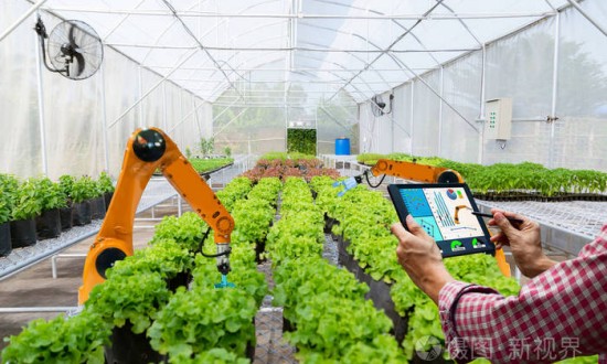 2024年智能农业产业的市场发展现状及投资前景分析