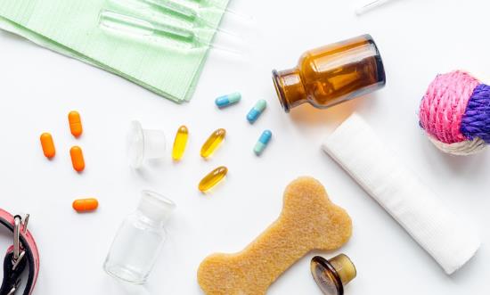 2023年中国宠物药品行业发展现状、竞争格局及未来发展趋势与前景分析