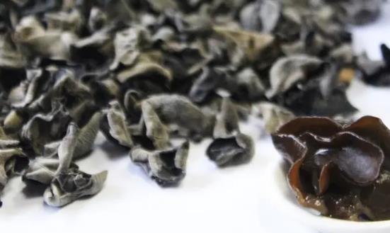 黑木耳行业发展前景潜力研究2024