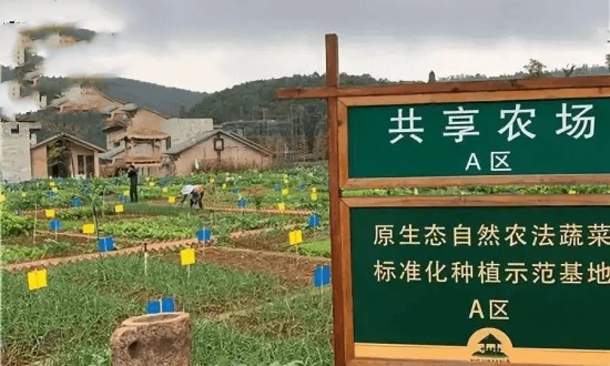 2024年共享农场行业产业链的上下游结构及发展趋势