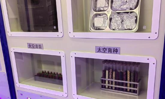 科技创新行业发展前景研究与市场需求2024