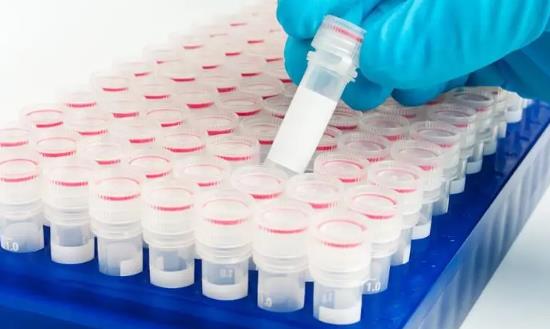 诊断试剂行业发展前景研究2024