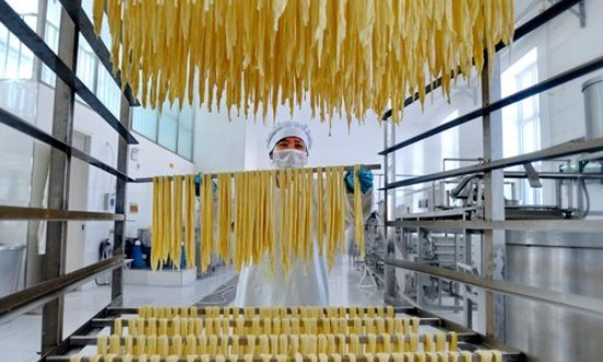 2024年中国大豆深加工行业的产业链上下游结构及投资前景