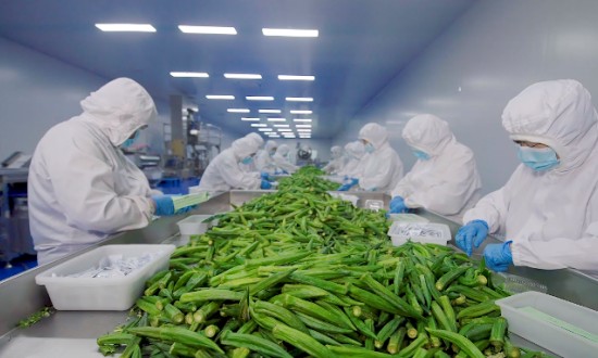 2024年中国果蔬加工行业的市场发展现状及投资趋势分析