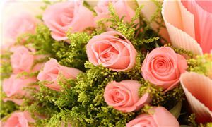 2024鲜花产业现状及未来发展趋势分析 昆明国际花卉拍卖交易中心五月供货量激增