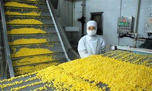 2024年中国粮食加工行业的市场发展现状​及投资前景分析