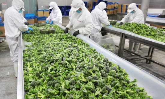 2024年蔬菜加工行业的市场发展现状及发展趋势分析