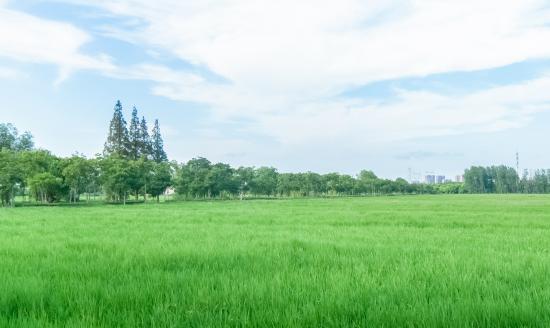 中国高标准农田行业市场调查与发展前景分析