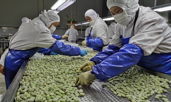 2024年中国农副产品加工行业的市场发展现状及投资风险分析