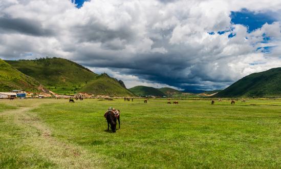 高原特色农业产业各地区运营能力分析及未来发展趋势预测
