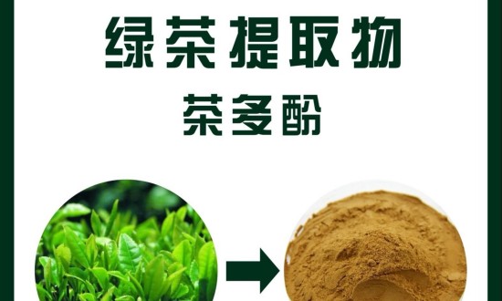 2024年中国茶叶提取物行业的产业链上下游结构及投资前景分析