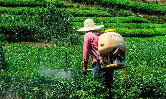 2024中国农药市场行情分析及重点企业概述