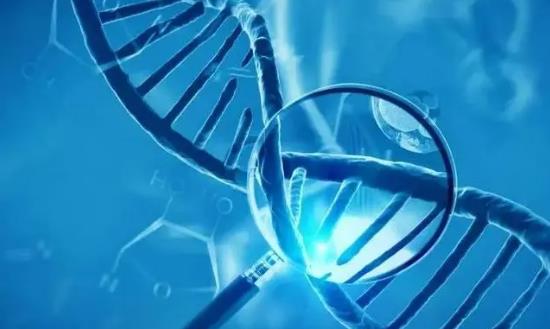 2024生命科学行业市场现状与投资调研