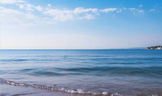 中国海洋能开发市场调查分析与发展趋势预测2024