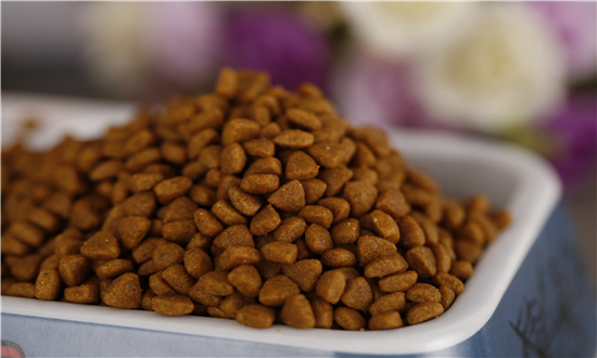 2024年动物性饲料行业市场深度分析 预计2028年全球动物饲料市场规模将达到42396.29亿元