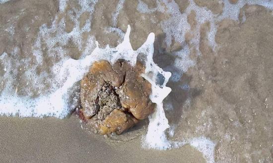 2024龙涎香行业市场发展环境与行业规模