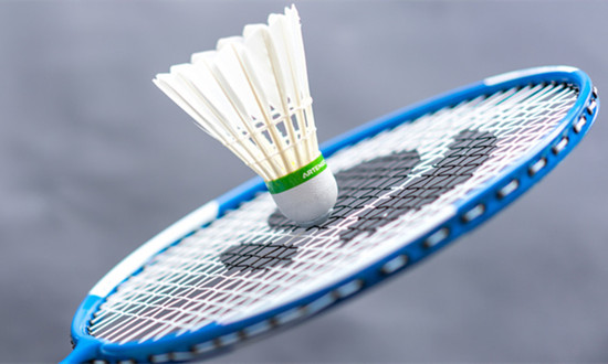 羽毛球器材行业市场调查与发展前景分析