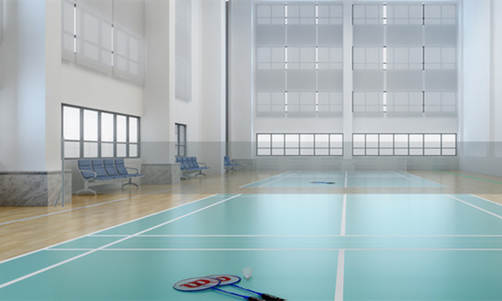 羽毛球馆产业未来发展趋势分析报告