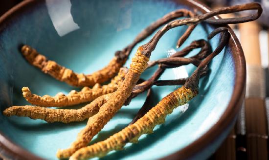 2024年中国冬虫夏草行业市场分析及发展前景预测