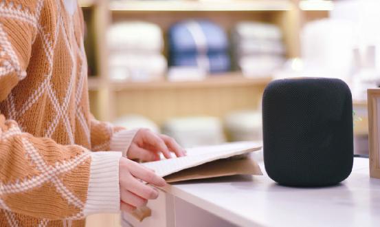 智能音响行业市场深度调研2024