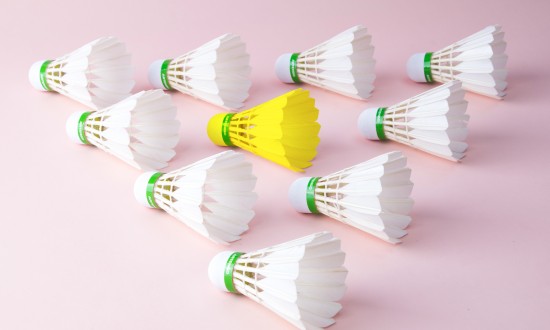 2024年中国羽毛球行业市场调查与发展前景分析