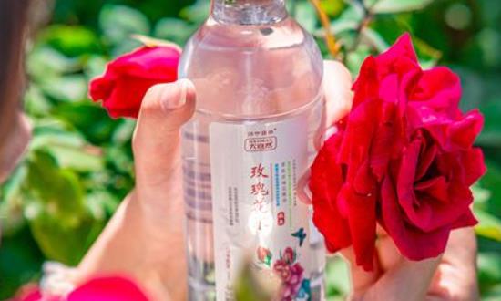 植物水饮料行业市场投资潜力：预计到2025年将突破2000亿元