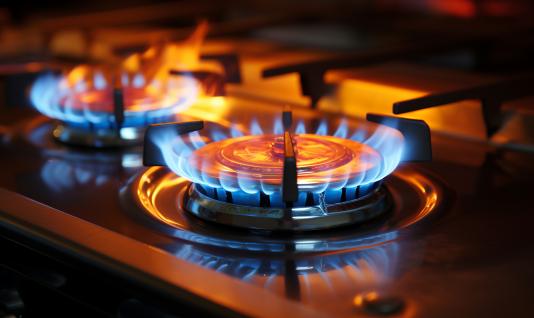 中国燃气灶行业发展前景及竞争分析2024