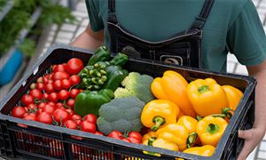 食材配送行业市场深度分析及发展规划咨询 23年餐饮食材消费规模同比增20.45%