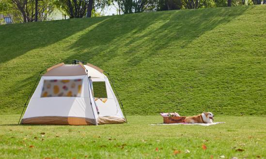 中国帐篷行业市场深度分析及产业链上下游构成