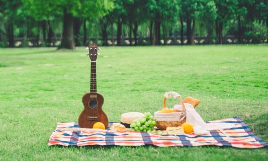 中国野餐垫市场调查分析与发展趋势预测