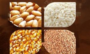 2024年中国白酒原料行业的市场发展现状及投资前景分析