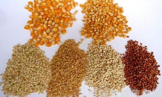 2024年中国饲料原料行业的产业链上下游结构及投资前景分析