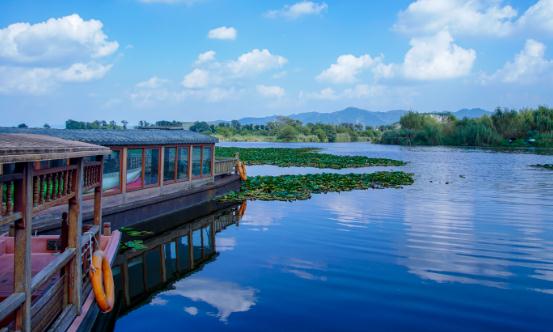 绿色生态行业发展现状及市场需求分析2024