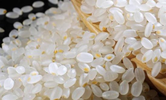 胚芽米行业市场发展环境与前景投资2024