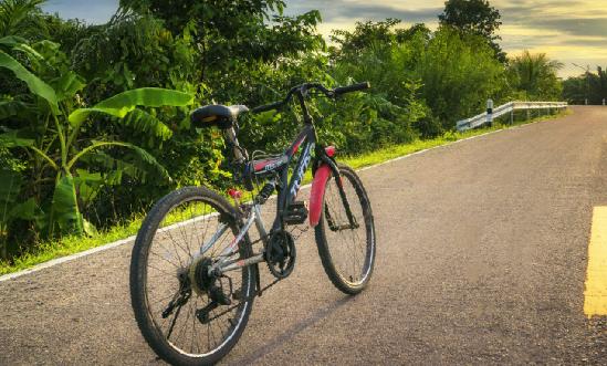 2024年自行车行业发展现状及市场挑战分析 一季度国产自行车出口暴增