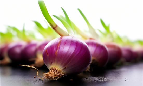 2024年洋葱行业市场发展现状及未来发展前景分析