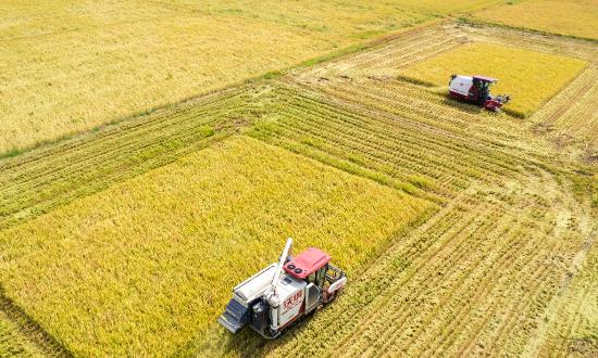 农业经济行业前景投资：拓展农业多环节的“增收之道”